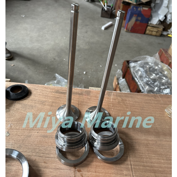 Wartsila L20 Inlet&Exh valve seat